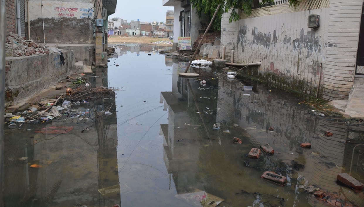 42 cases of dengue found in 5 days, 42 places still waterlogged