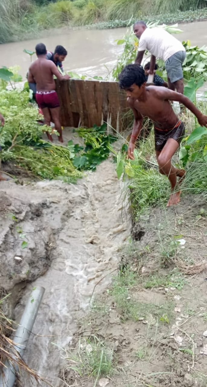 Semri Rajwaha broken, more than fifty bighas of paddy crop submerged in water