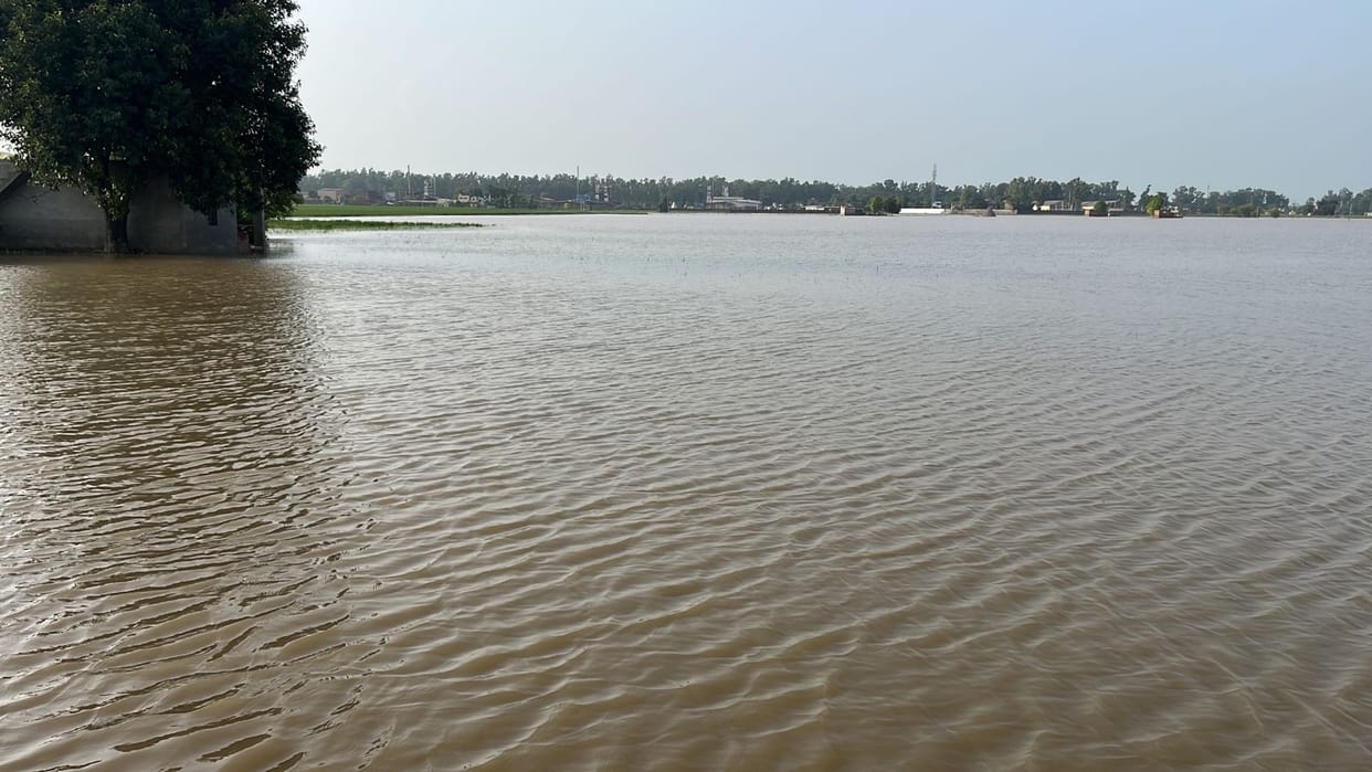 Water wreaks havoc again in Dadlu, Padlu and Jogimajra, crops destroyed for the third time