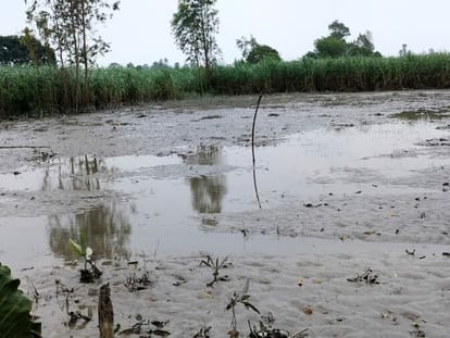 Reduced erosion... people breathed a sigh of relief