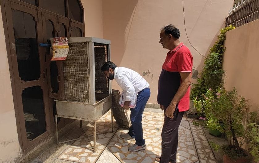 There is no dengue test facility in the sub-division's civil hospital
