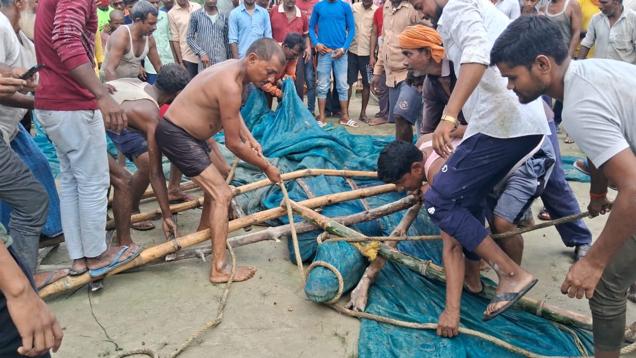 crocodile reached in pond