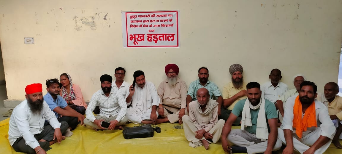 Farmers affected by loose animal went on hunger strike, later agreed