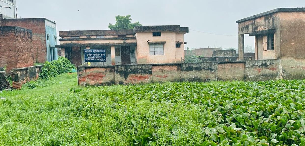 Veterinary hospital was built, forgot to make road