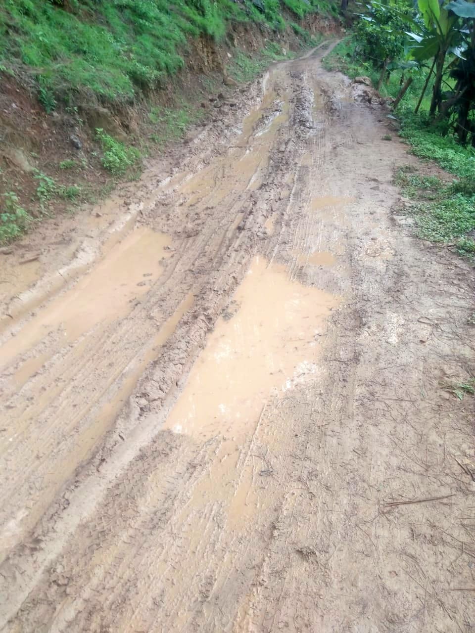 Due to the bad road, the population of more than 1500 is troubled
