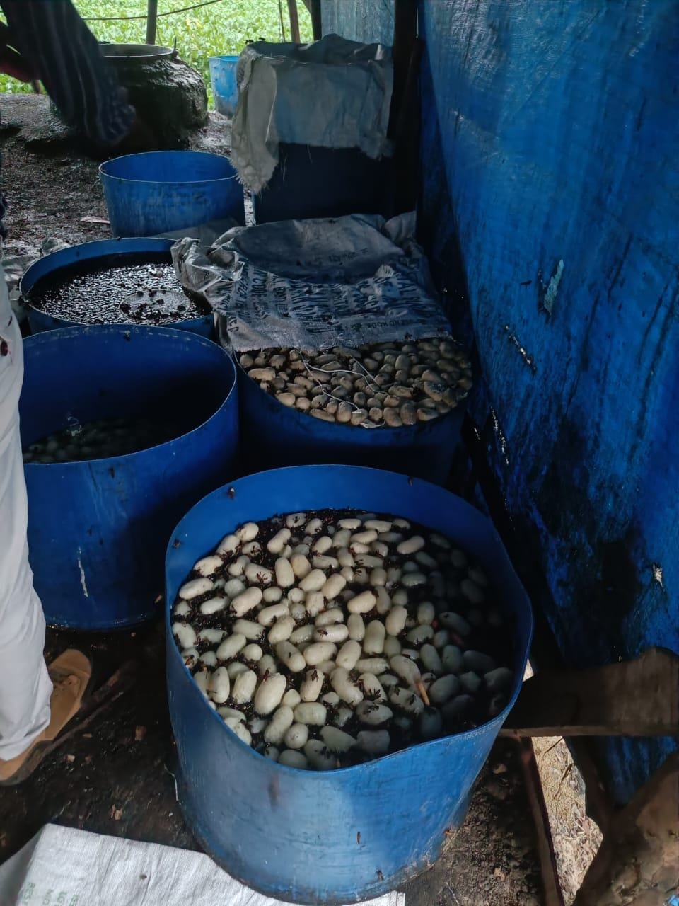 Five quintals of Rasgulla were kept for sale, foul smell was coming