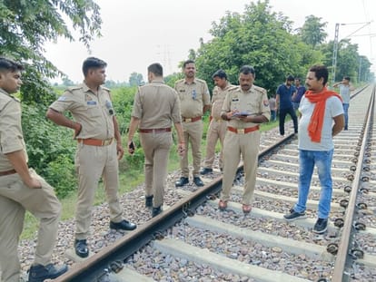 Remains of a protected animal found on the railway track