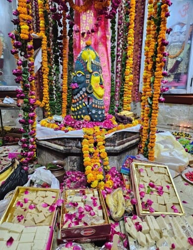 Decorated Bholenath and performed Maha Aarti.