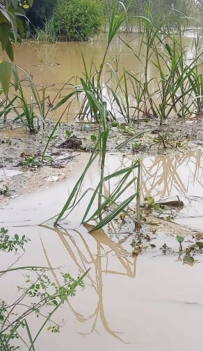 Administration formed team, survey will be done of flood affected places