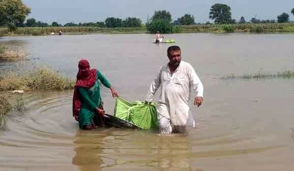 39 thousand farmers did not get insurance amount of Rs 40 crore for Kharif crop