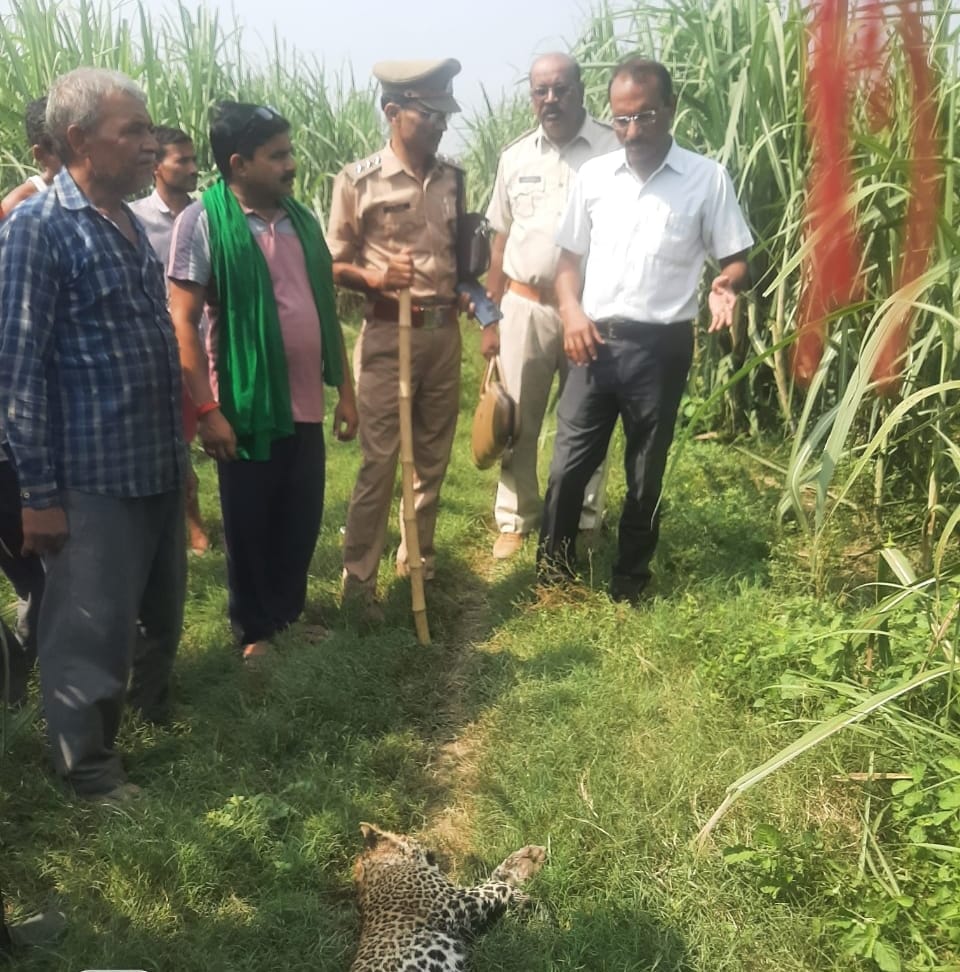 Guldar's body found in village Firozpur
