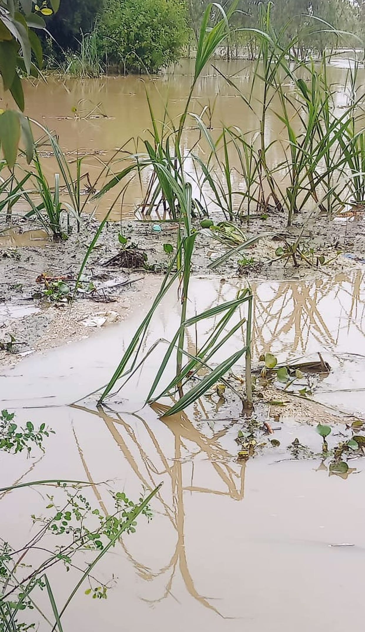 Administration formed team, survey will be done of flood affected places