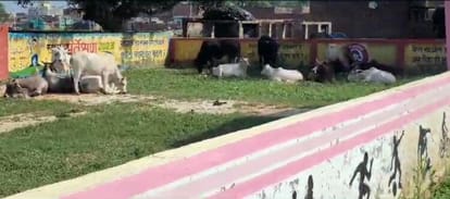 Angry villagers locked animals in MNREGA park