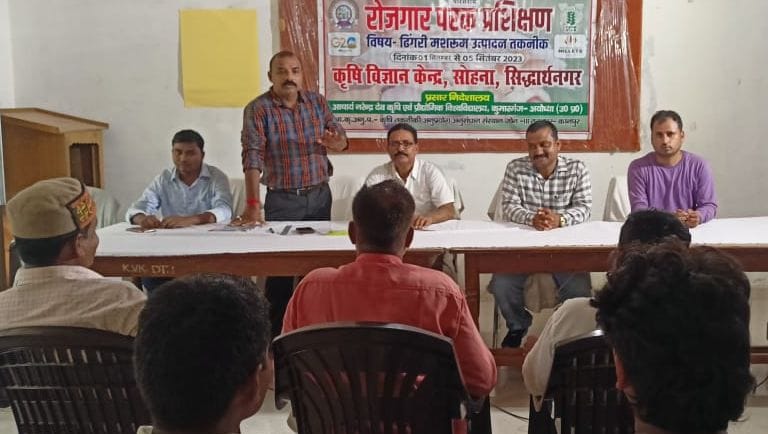 Dhingri mushroom is a good option of income for farmers