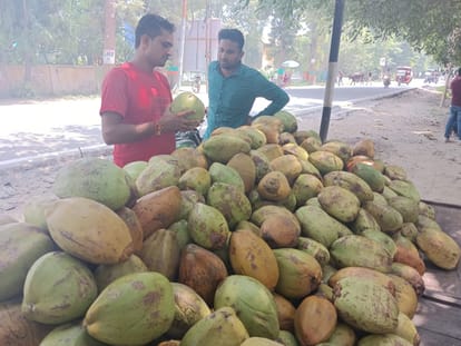 Along with coolness, coconut water also keeps the heart and mind healthy.