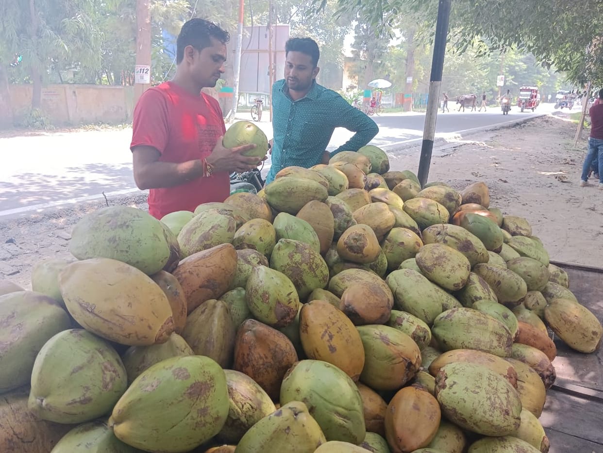 Along with coolness, coconut water also keeps the heart and mind healthy.