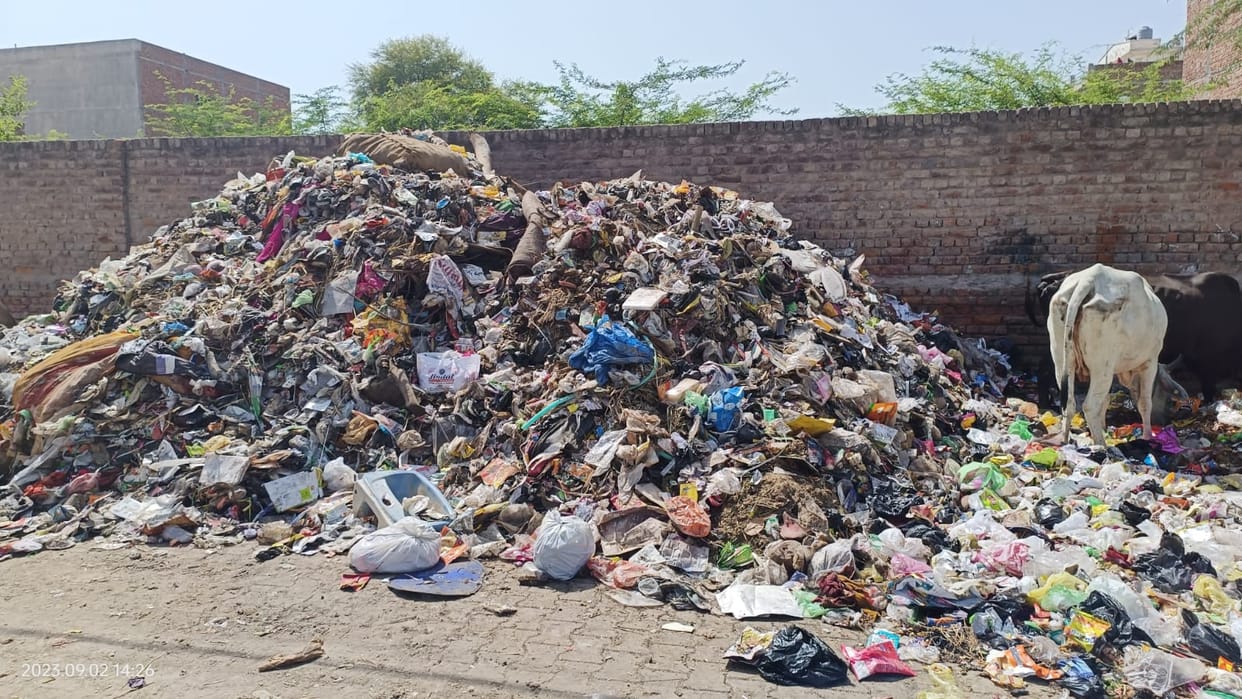Rules on hold, agency engaged in dumping garbage in pit filled with water, officials said, get the investigation done