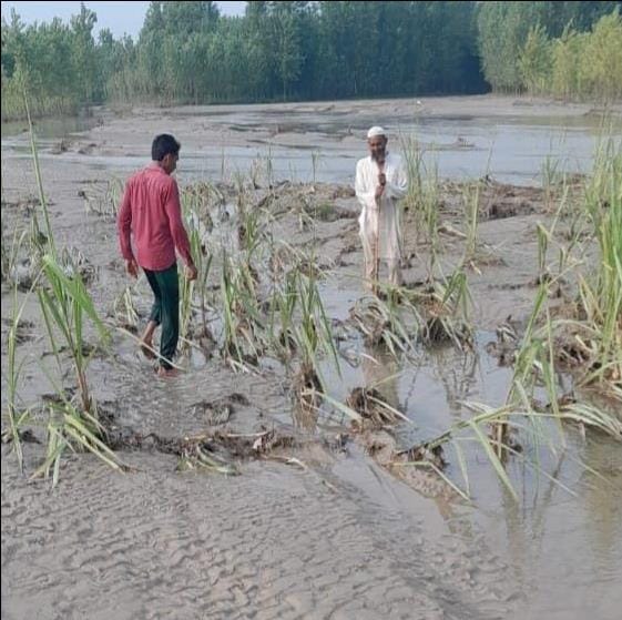 Thousands of bighas of crops destroyed due to change in Gangro river