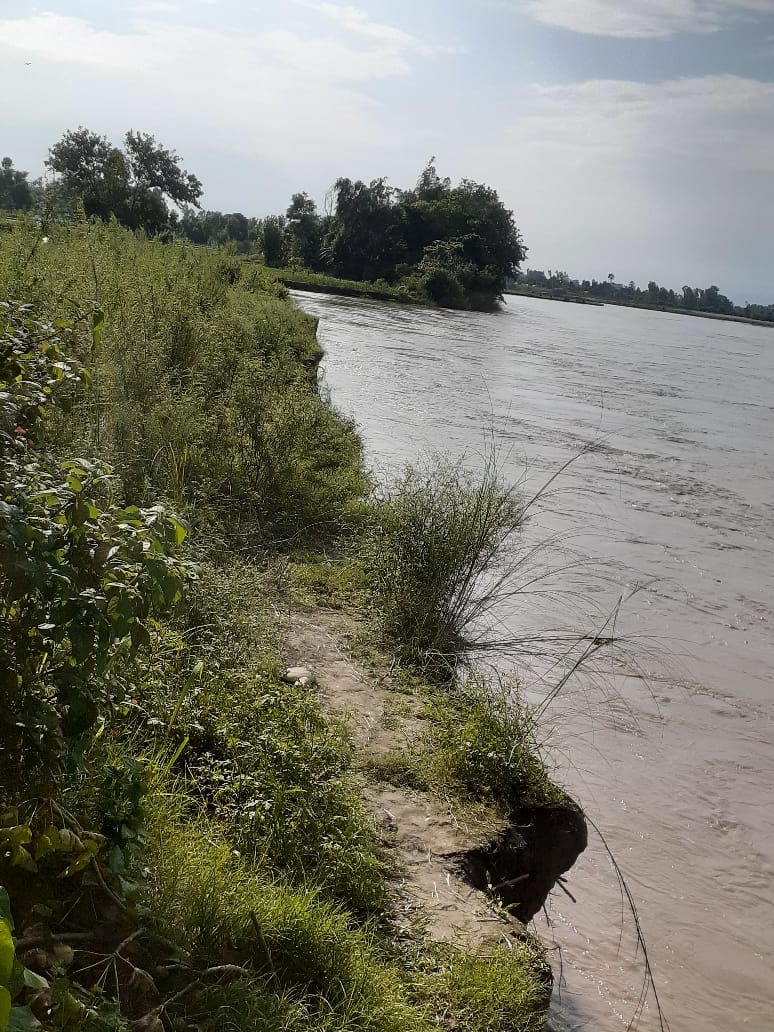 When Nepal built embankments, Sharda river started wreaking havoc in Pilibhit.