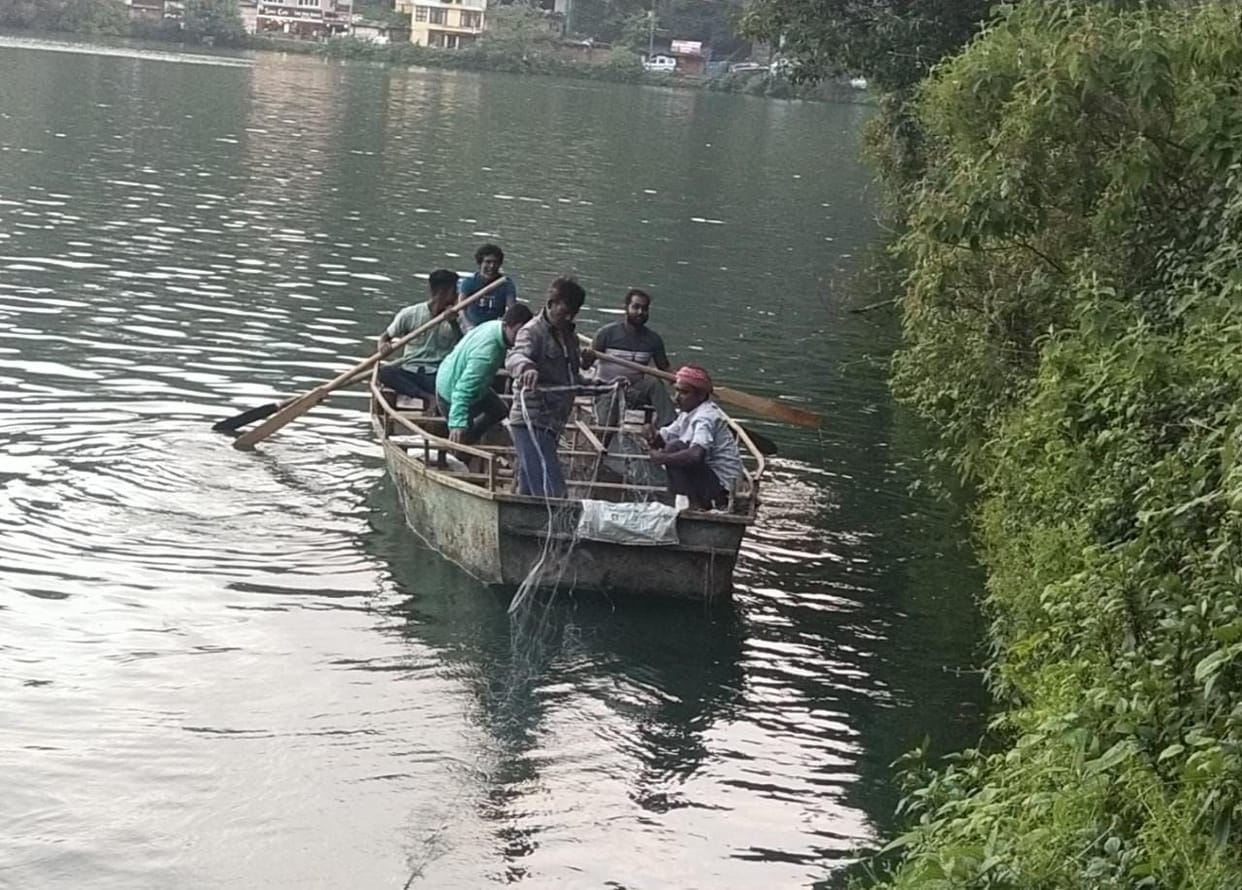 Unusable fish will be removed from today to improve the ecosystem of the lake