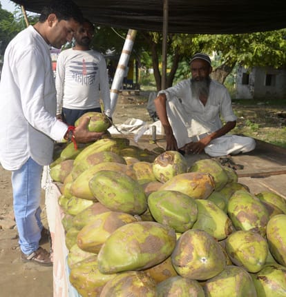 Coconut water helps in keeping the body healthy