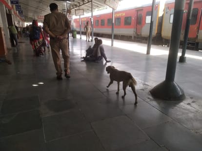 Fear of dogs and monkeys at the railway station, beggars block the way