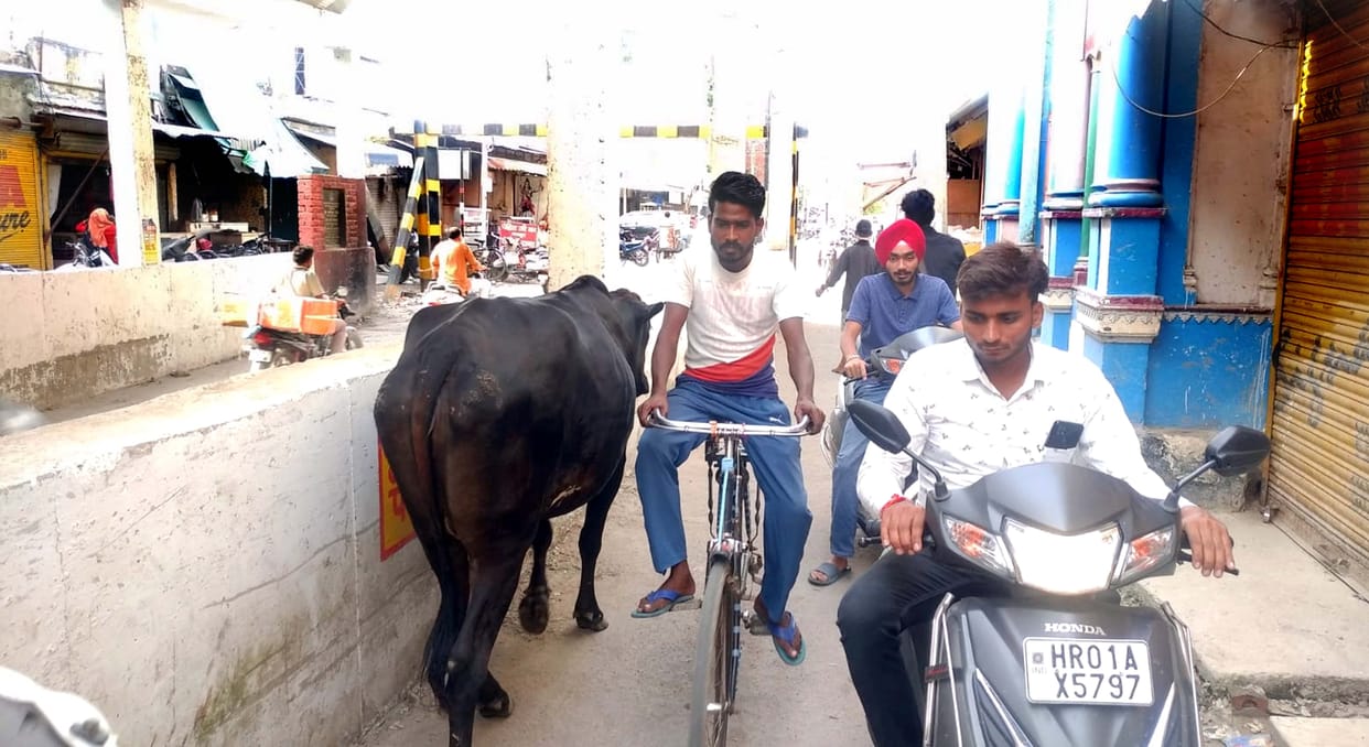Traffic problem in Thapar Market, demand for solution