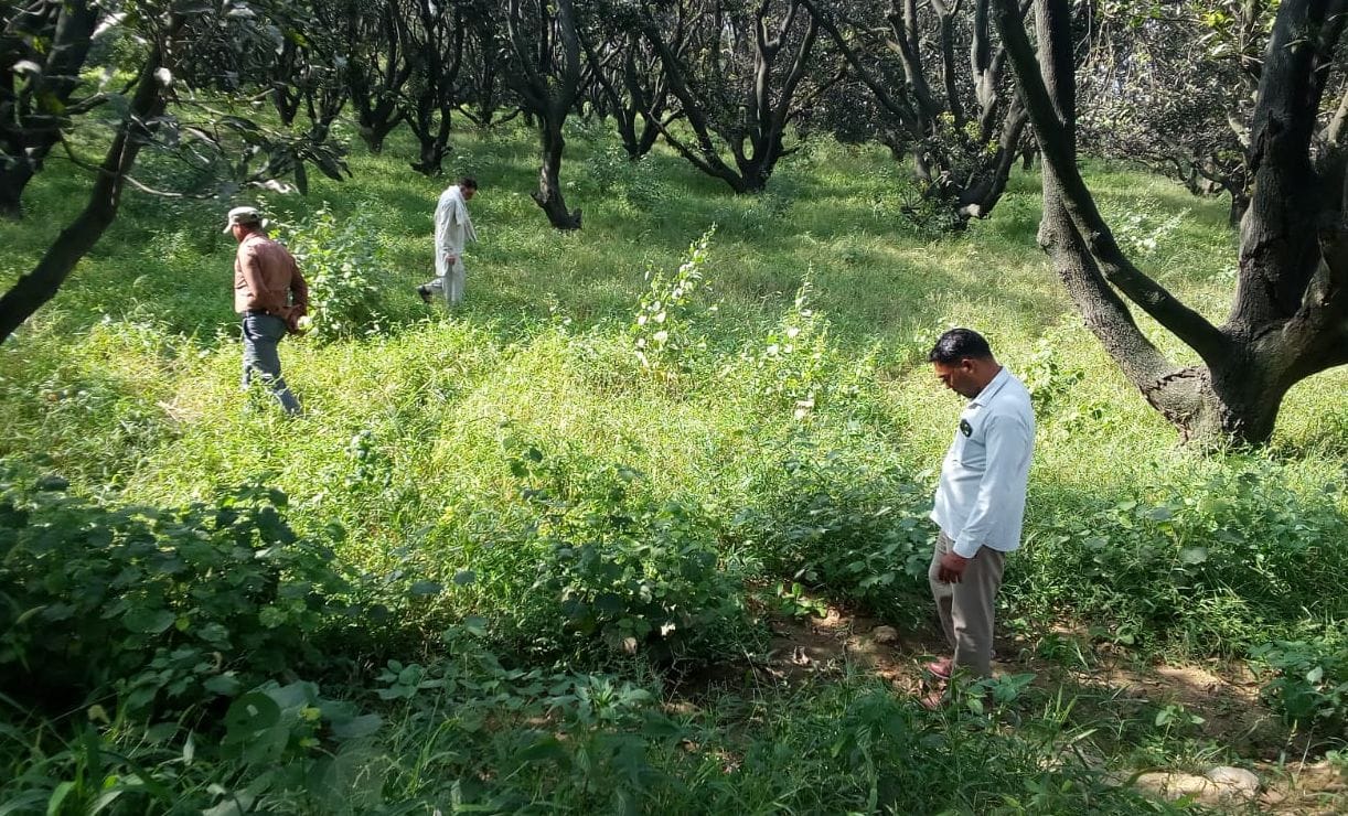 Panic among people due to sighting of leopard