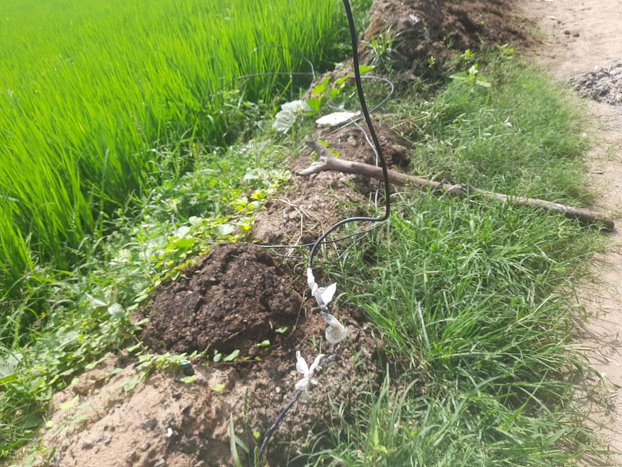 Accident due to broken wire, villagers surrounded the power house