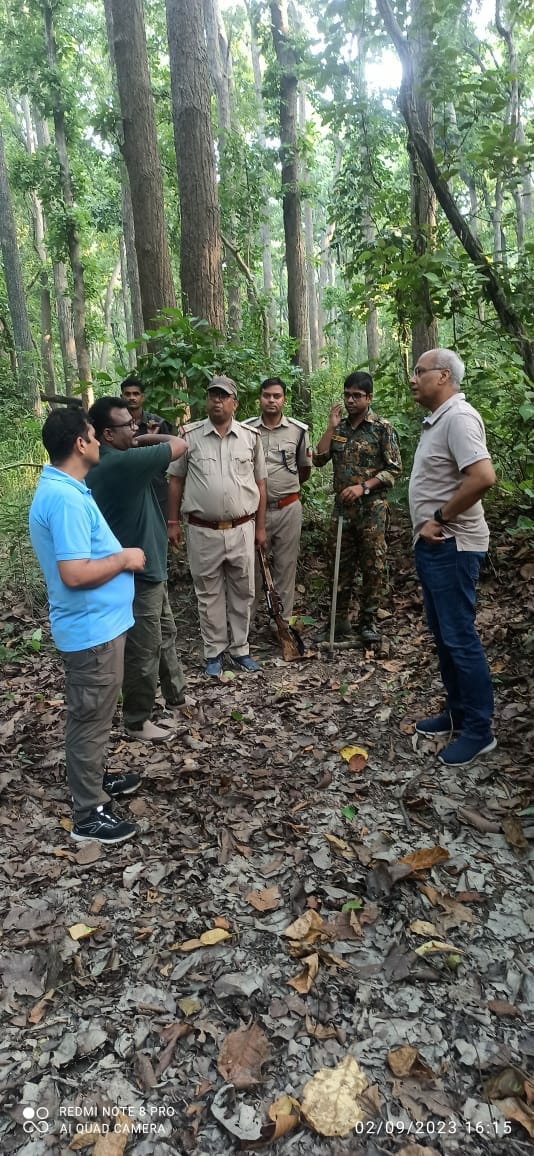 Unidentified wildlife injured in car collision, forest department engaged in search