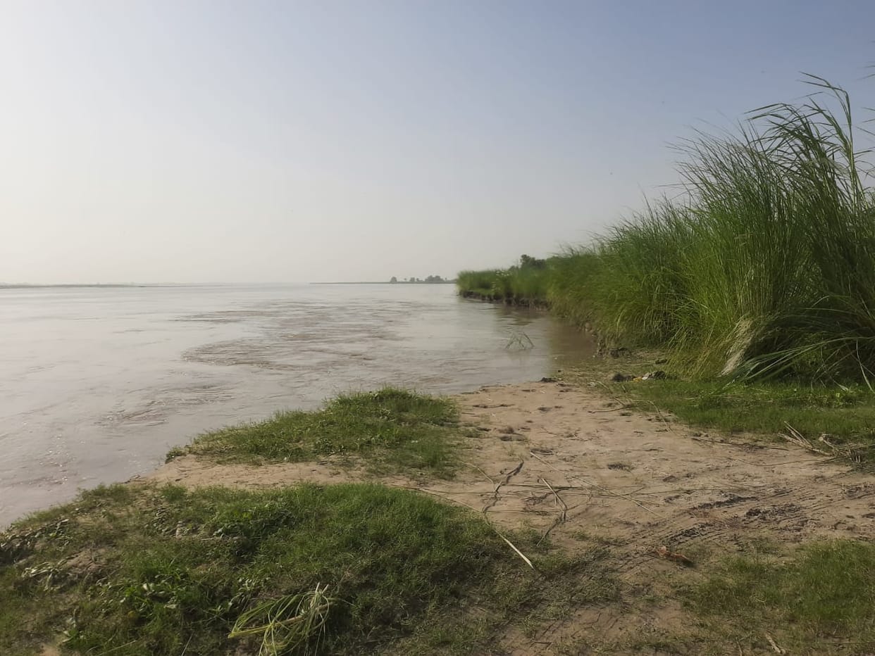 25 acres of land covered due to erosion in Ganga, trees and plants washed away in water