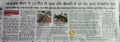 Panchayat Secretary suspended over death of cattle due to hunger and disease