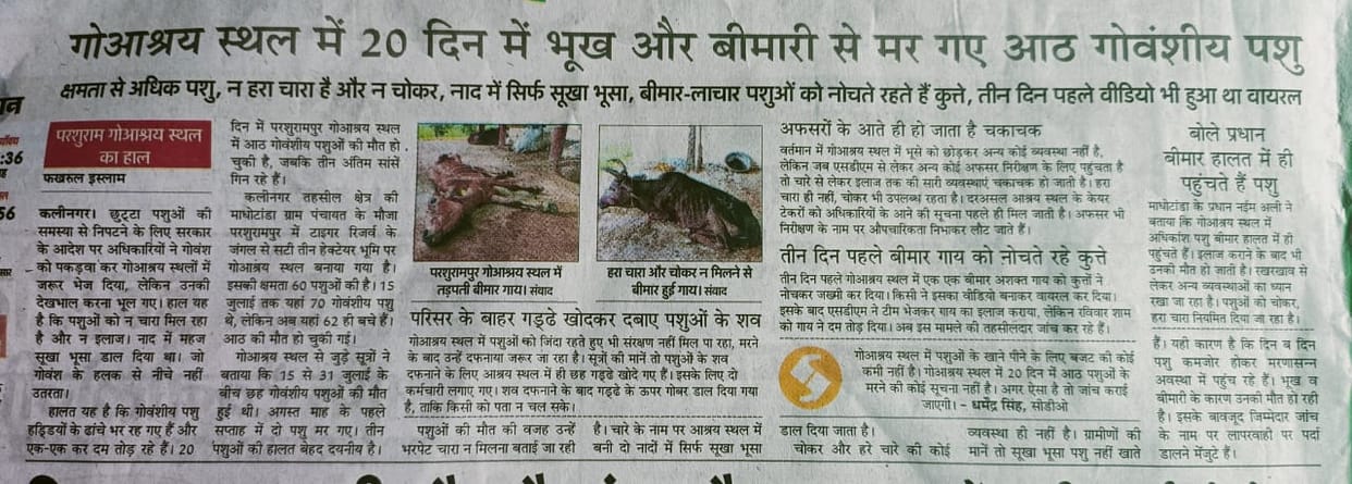 Panchayat Secretary suspended over death of cattle due to hunger and disease