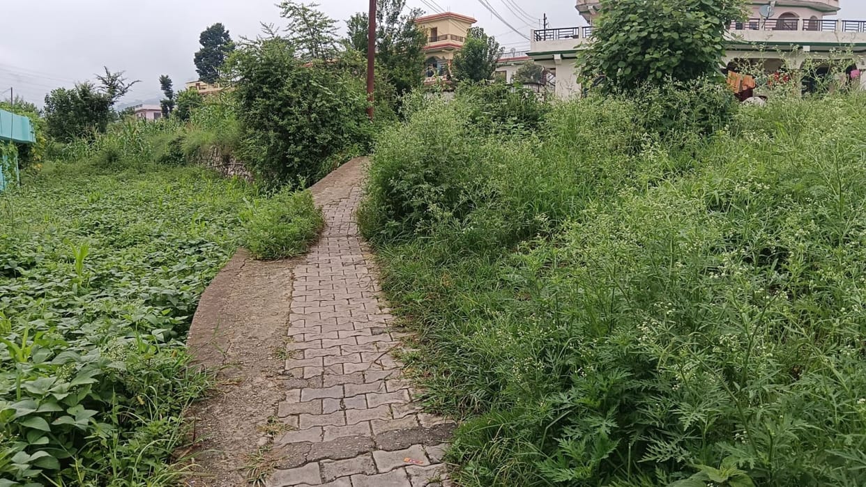 Bad pathway in pithoragarh