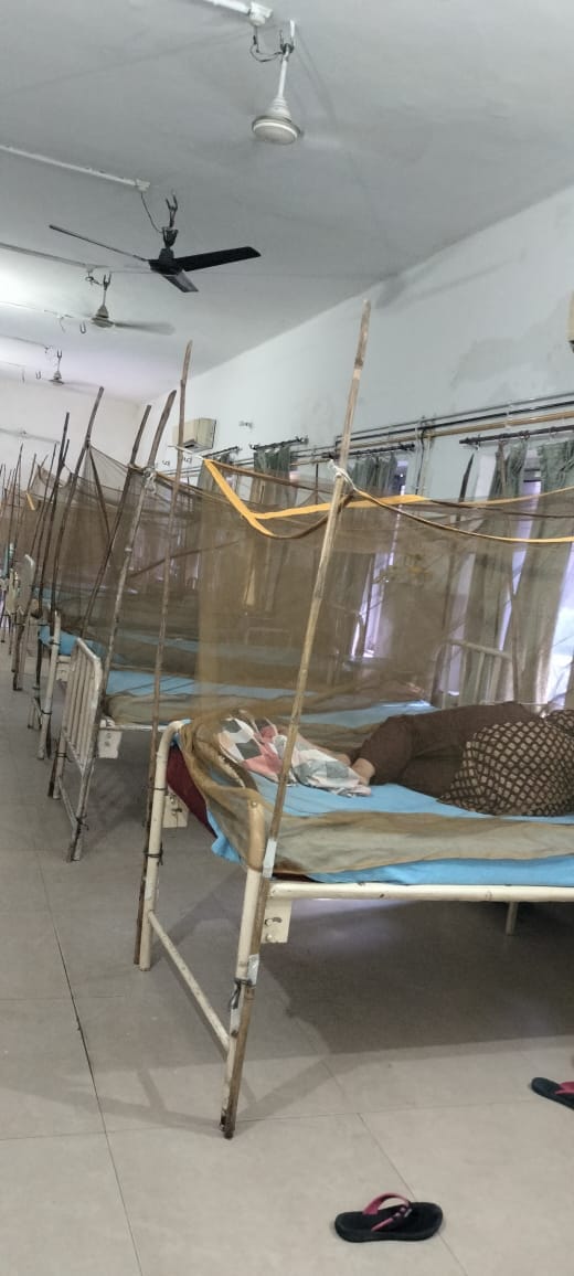 dengue, health department