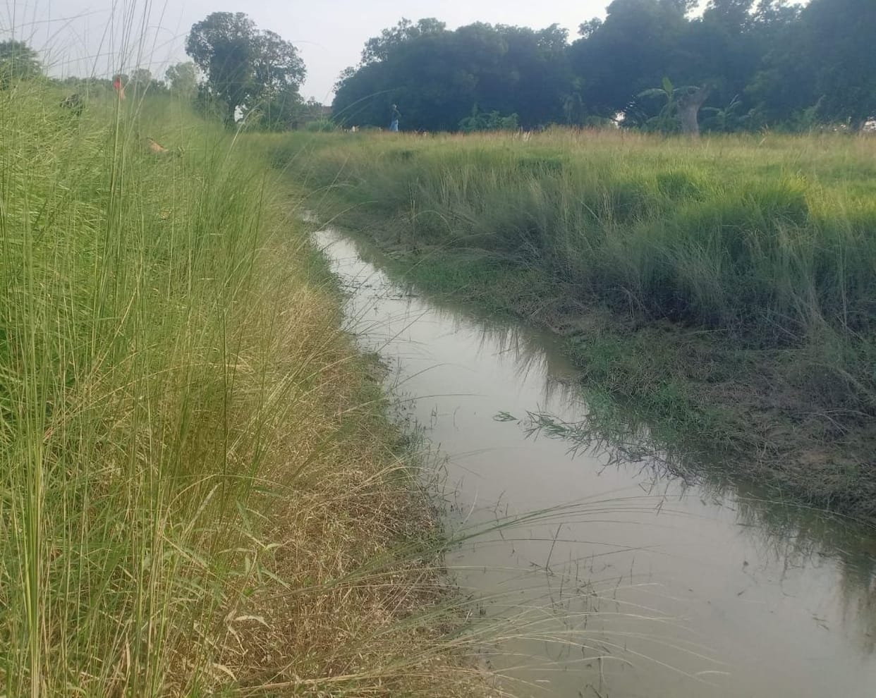 Even after the dispute, water did not reach the canals