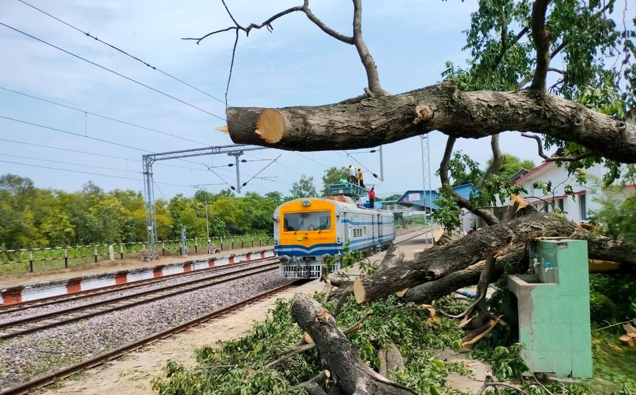 Tree fell on railway track, operation halted for three hours