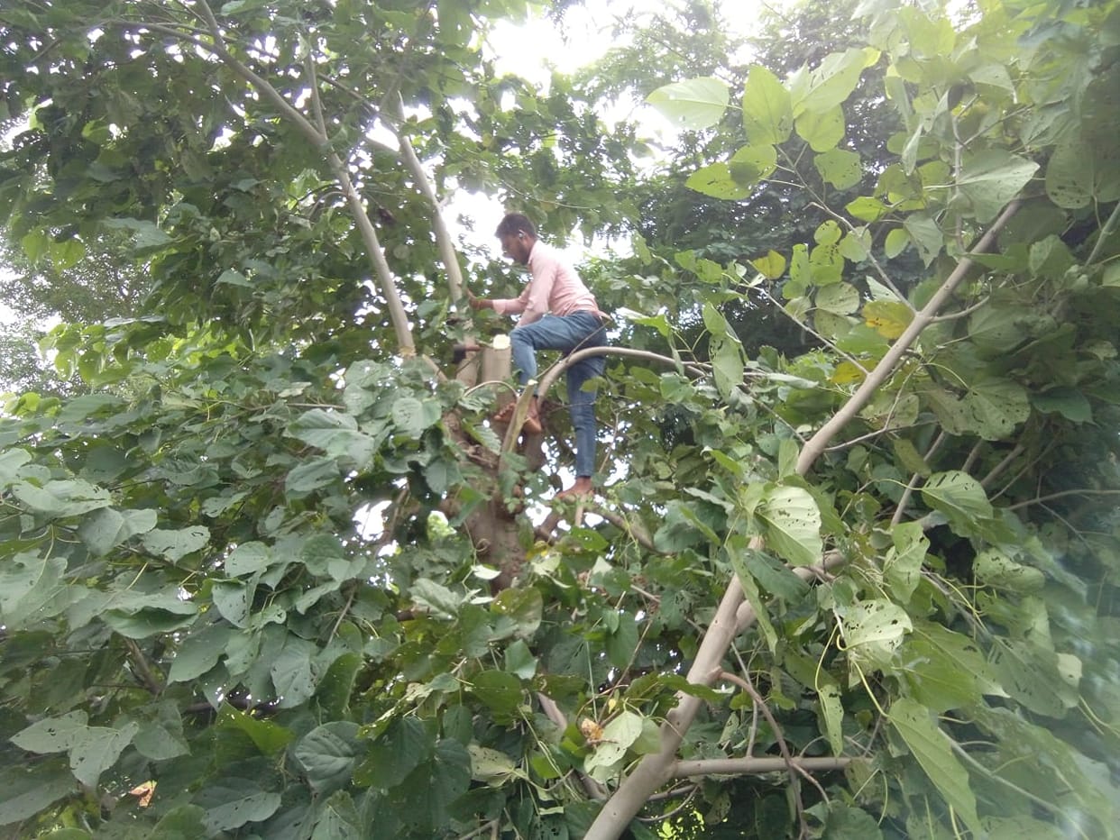 80 thousand houses in the city lost electricity for eight hours due to storm and rain.