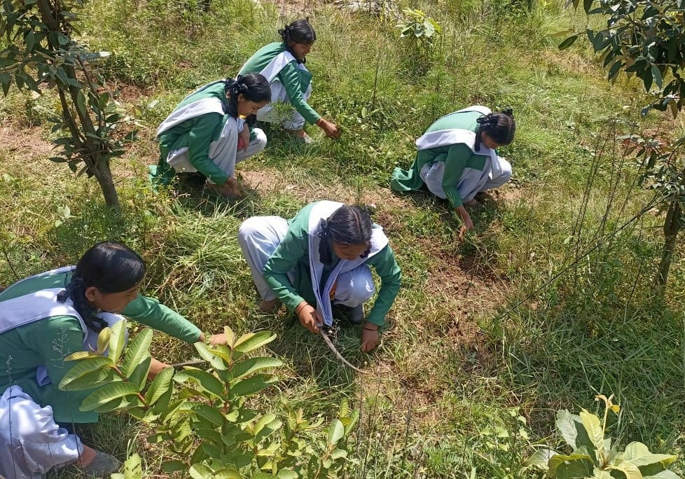 Clean india rally in kumaun