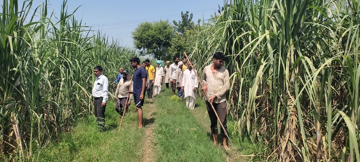 Panic after seeing leopard in colonies of Baraut