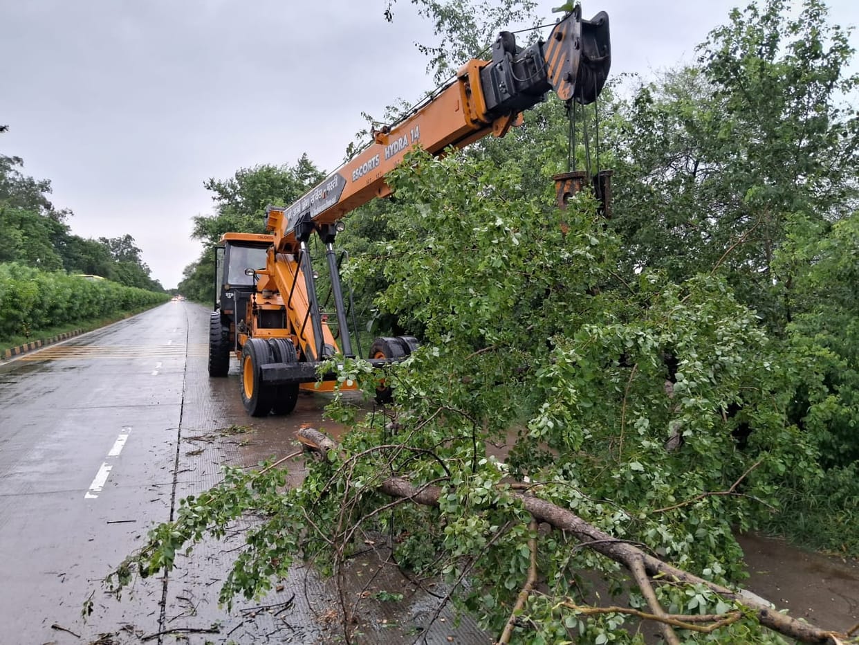 Trees fell on the highway due to strong wind