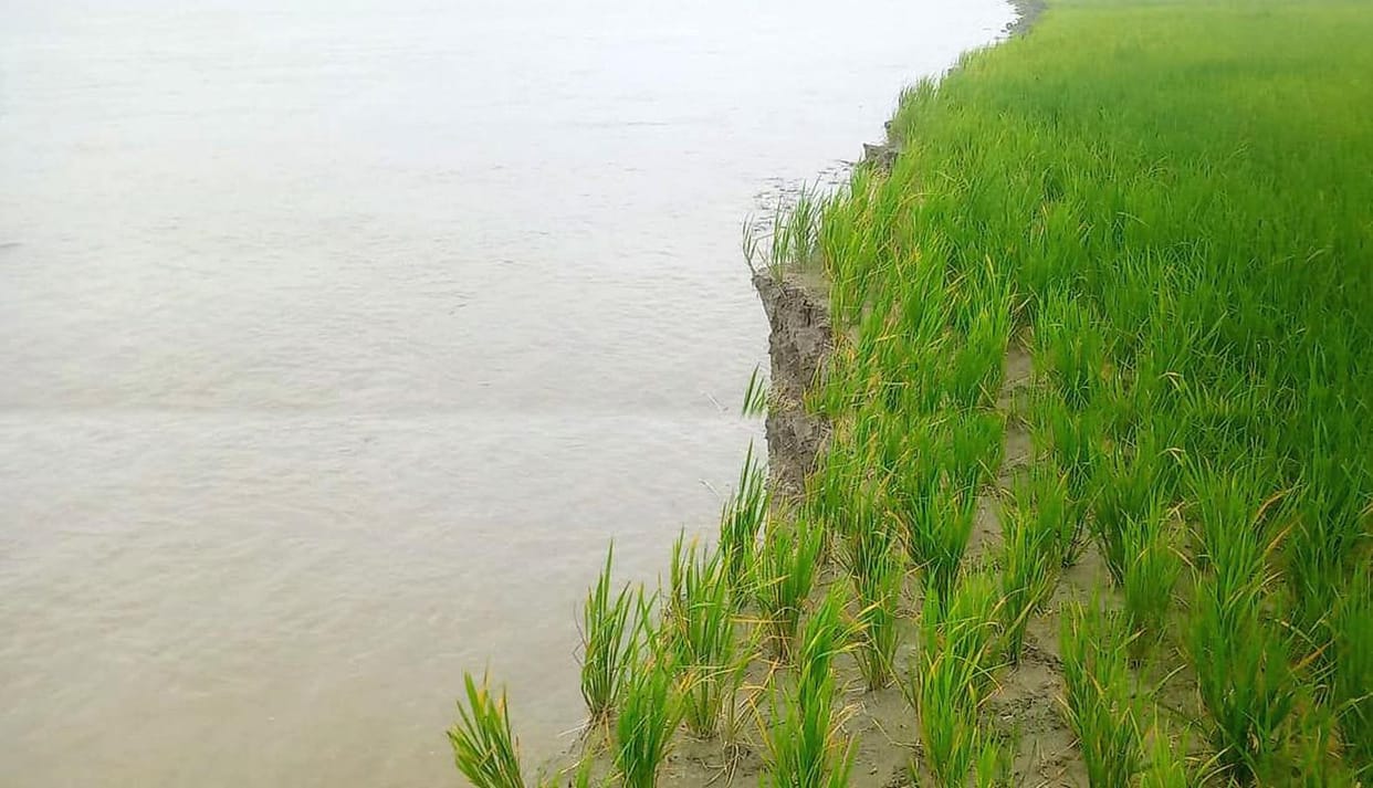 Saryu river