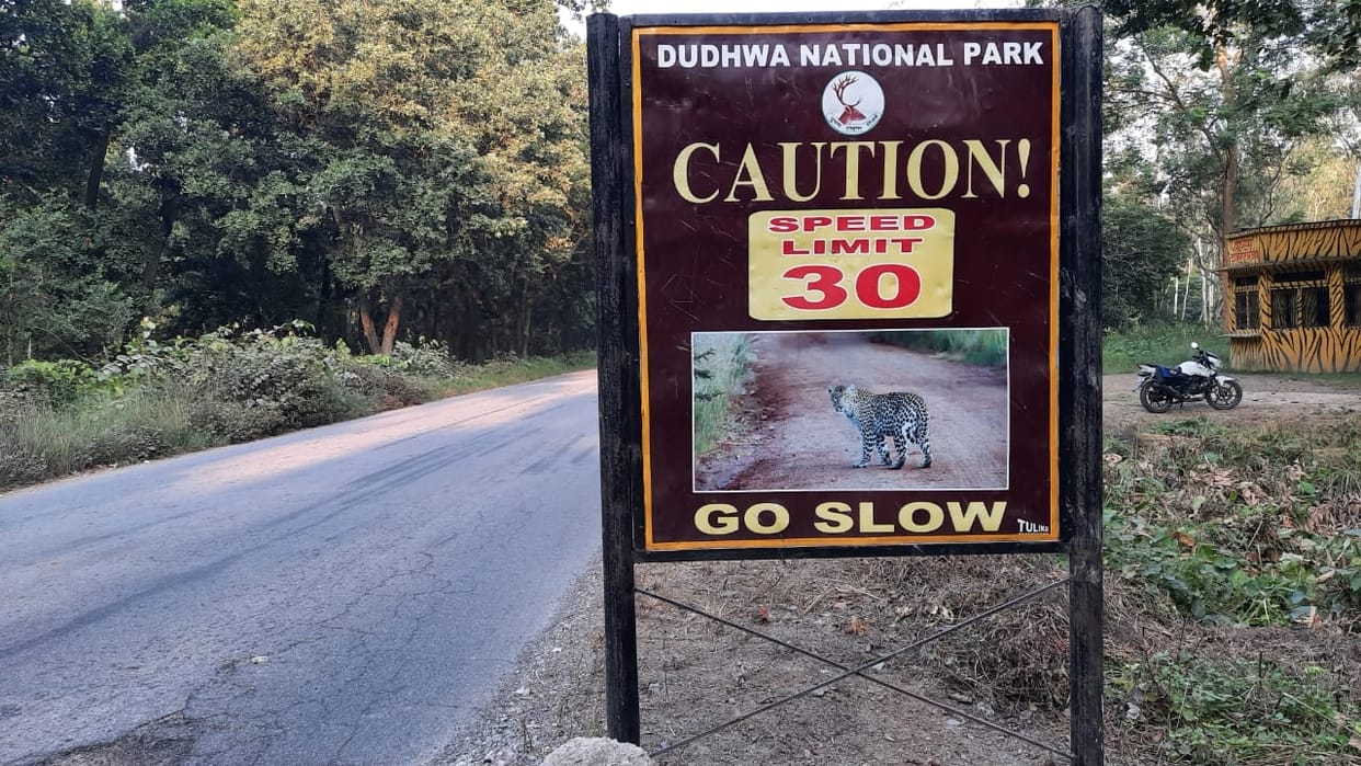 If a speeding vehicle is taken out of the forests of Dudhwa, the radar will catch it.