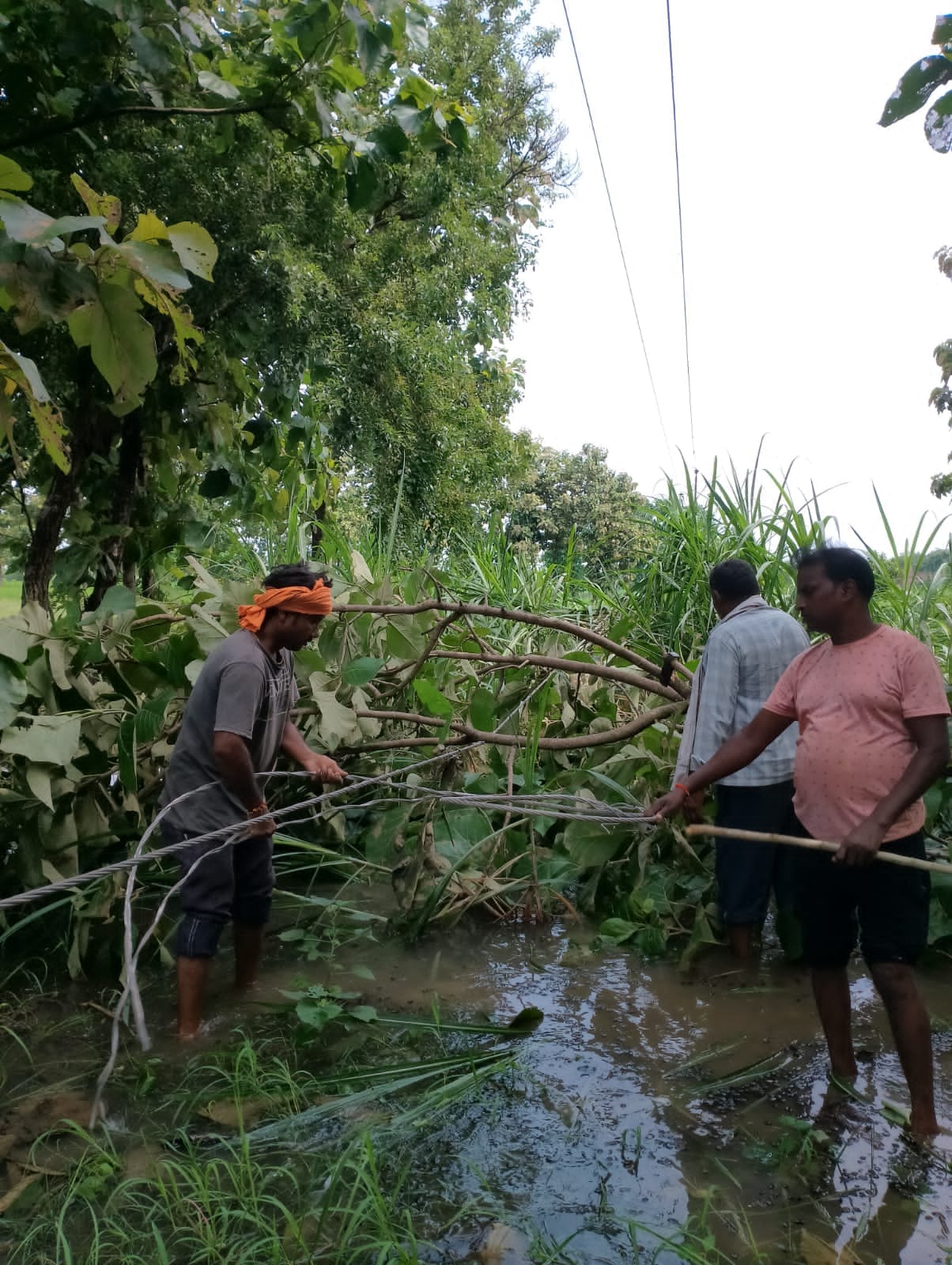 Poles and wires broken due to storm, power supply disrupted from city to village