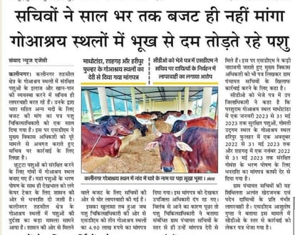 Animals suffering from hunger in Abhaypur Shahgarh cow shelter, secretary suspended