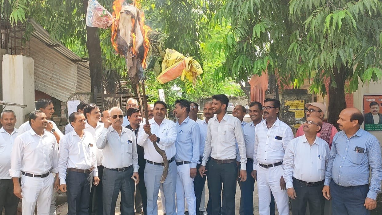 Advocates protest by burning CM's effigy