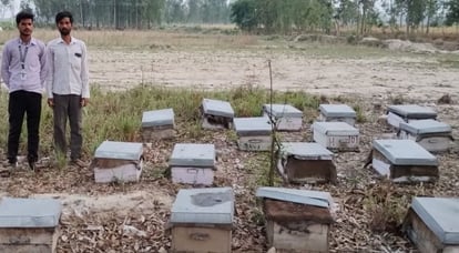 Leaving traditional farming, beekeeping changed the lives of farmers