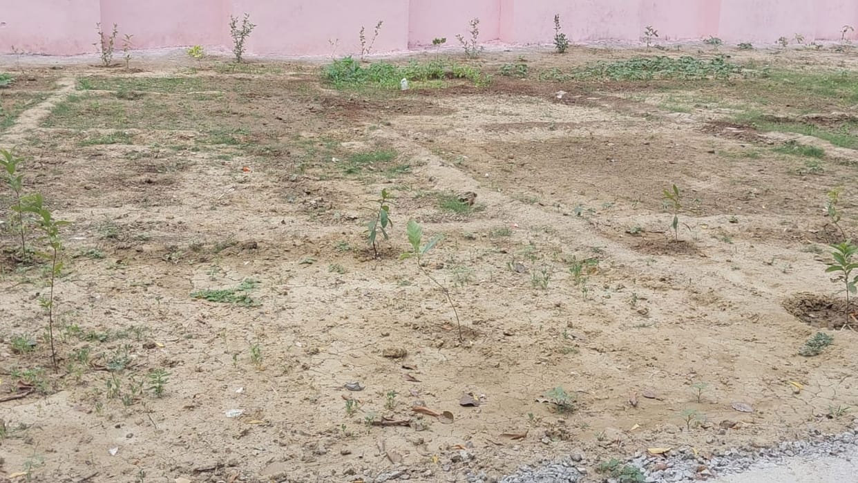 Police busy in farming, thieves are busy