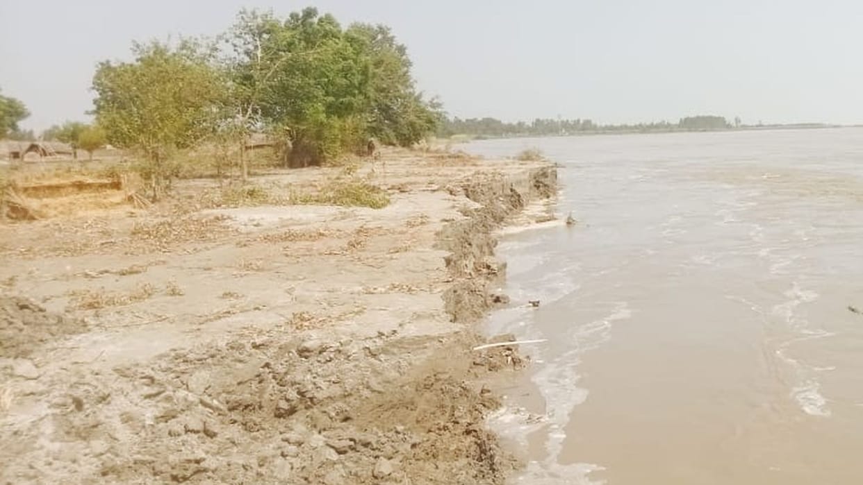 The crop was destroyed in the flood, now labor has become a support