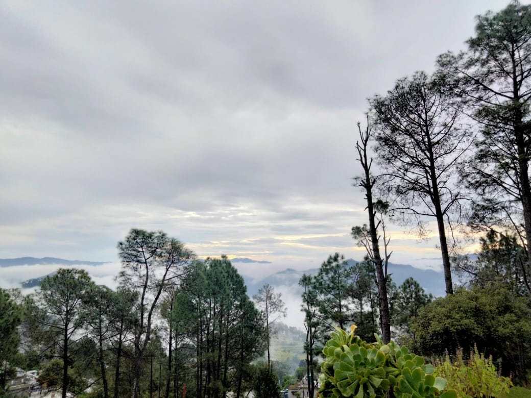 rain and flood in almora